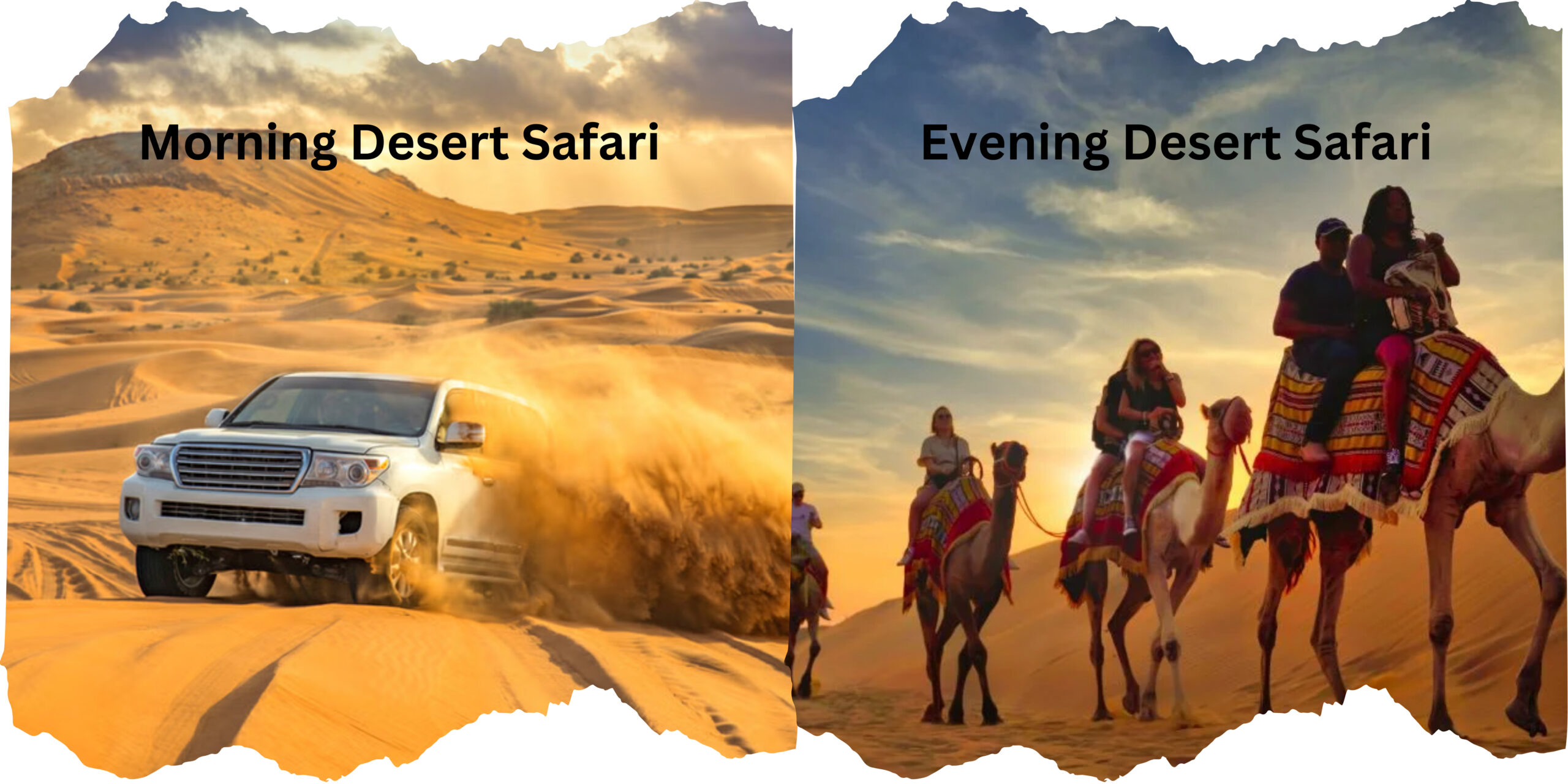 Morning or Evening Desert Safari, Which Adventure Is Right for Me?